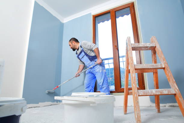 Best Mold Odor Removal Services  in Verona, PA