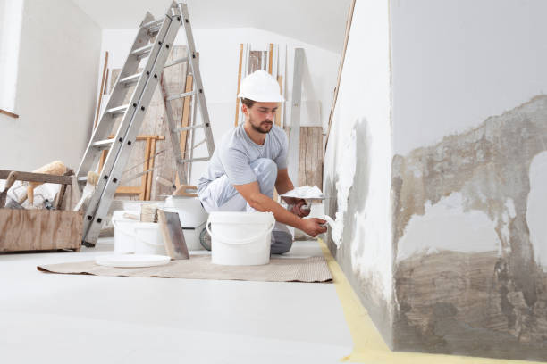 Best Mold Removal for HVAC Installations  in Verona, PA