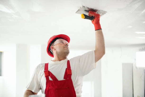 Forensic Mold Investigation in Verona, PA